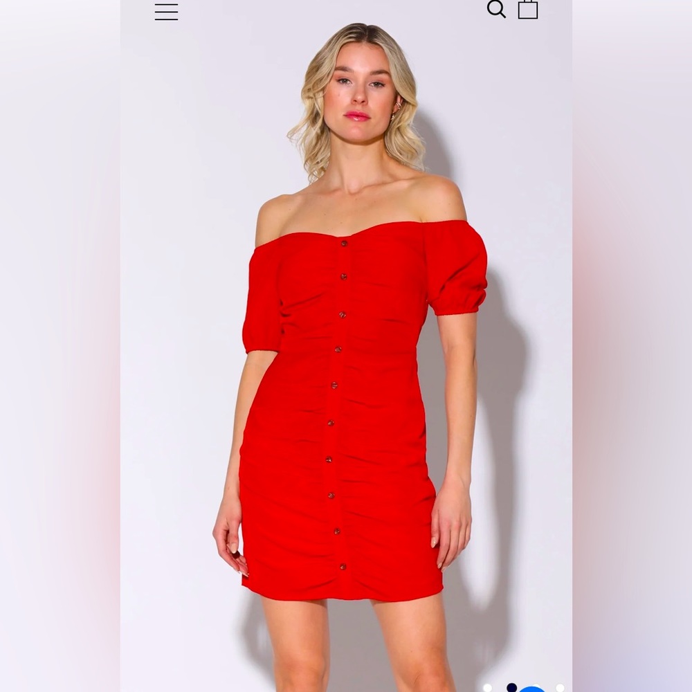 Walter Baker Odette Dress New size 2